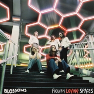 Foolish Loving Spaces (Deluxe Edition)(2CD)