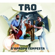 Trio (Pere Miro / Xavi Castillo / Joan Casares)/S'apropa Tempesta