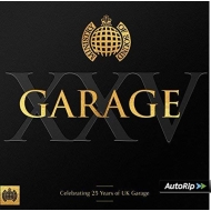 Various/Ministry Of Sound Annual Xxv