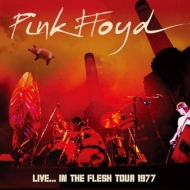 Live...In The Flesh Tour 1977
