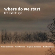 Yuri Storione / Perico Sambeat / Marton Juhasz / Stephan Kurmann/Where Do We Start： Live At Bird's E
