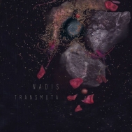 Nadis/Transmuta