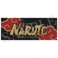 �^�I�� / ���C�u�E�X�y�N�^�N���uNARUTO-�i���g-�v�`�ł̒��ׁ`