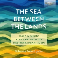 *˥Х*/Salvatore Fodera The Sea Between The Lands-italy  Spain 5 Centuries Of Mediterranean M