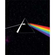 Dark Side Of The Moon