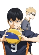 Haikyu!! To The Top Vol.2
