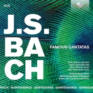 Хåϡ1685-1750/Famous Cantatas Leusink / Netherlands Bach Collegium Holland Boys Cho
