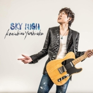 ȲϺ/Sky High