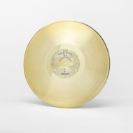 Joywave/Possession
