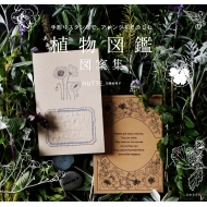 �蒤��X�^���v�ŁA�A�����W�����̂��� �A���}�� �}�ďW