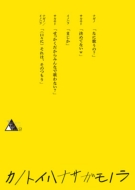 20th Century/Twentieth Triangle Tour Vol.2 カノトイハナサガモノラ (Ltd)