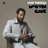 More Trouble (180グラム重量盤レコード)