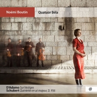 String Quintet: Quatuor Bela Boutin(Vn)+daniel D'adamo: Sur Vestiges