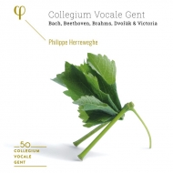 Collegium Vocale Gent 50th Anniversary : Herreweghe / Collegium Vocale Gent (6CD)