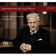 Duo-instruments Classical/Beethoven Demus J. s.bach Schumann Dvorak： Violin Sonatas： Irnberger(Vn