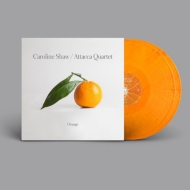 祦饤1982-/Orange Attacca Q (Ltd)