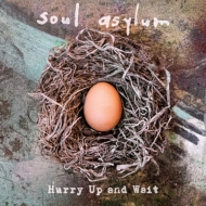CDアルバム｜Soul Asylum (ソウル・アサイラム)｜商品一覧｜HMV&BOOKS