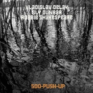 Vladislav Delay / Sly Dunbar / Robbie Shakespeare/500 Push Up