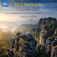 ベートーヴェン（1770-1827）/Chamber Works-piano Quartet Minuets ＆ Dances Etc： Sofia Kim Kroh T. segal Sarid(