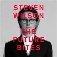 Steven Wilson/Future Bites