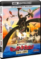 映画『ヒックとドラゴン 聖地への冒険』Blu-ray＆DVD2020年6月3日発売 