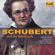塼٥ȡ1797-1828/Schubert Und Die Volksmusik W. brunner / Salzburger Hofmusik Ensemble Tobias Reise