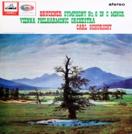 交響曲第8番 カール・シューリヒト、ウィーン・フィルハーモニー管弦楽団 (2枚組アナログレコード)