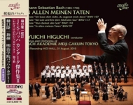 Cantatas Nos.97, 117, 157, 192 : Yuichi Higuchi / Bach Academie Meiji Gakuin Tokyo (2CD)