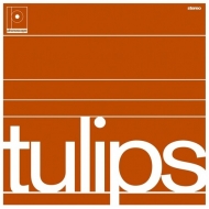 Maston/Tulips (Ltd)