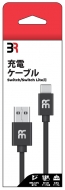 Game Accessory (Nintendo Switch)/ť֥ Usb
