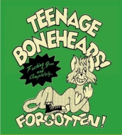 Teenage Boneheads/Fucking Gone And Completely...forgotten! (Skippy)