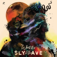 Sly5thAve (饤եե˥塼)/What It Is