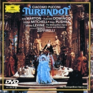 ץå (1858-1924)/Turandot Levine / Met Opera Marton Domingo Mitchell Plishka (Ltd)