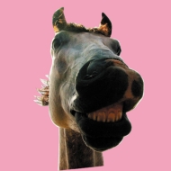 Do!!TheMUSTANG