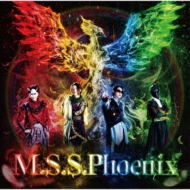 M. S.S Project/M. s.s. phoenix