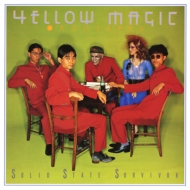 Solid State Survivor (Yellow Clear Vinyl Edition)(repress)