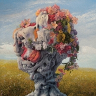 Veil Of Imaginations