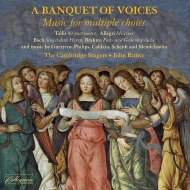 羧ʥ˥Х/A Banquet Of Voices-music For Multiple Choirs Rutter / Cambridge Singers
