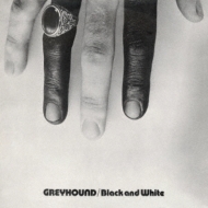Greyhound/Black And White