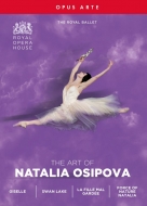 バレエ＆ダンス/Osipova： The Art Of Natalia Osipova-giselle Swan Lake La Fille Mal Gardee Natalia