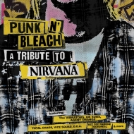 Various/Punk N'Bleach - A Punk Tribute To Nirvana