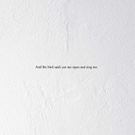And The Bird Said: Cut Me Open And Sing Me