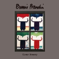 Bomis Prendin/Clear Memory