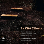 Хåϡ1685-1750/Cantata 12 18 161  Spilmont / Ensemble Alia Mens E. lefebvre Bertin T. hobbs Buffi