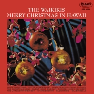 Merry Christmas In Hawaii