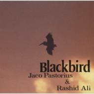 Rashid Ali / Jaco Pastorius/Blackbird