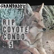 Rip Coyote Condo #5 B / W The Fox In The Snow & In My Room