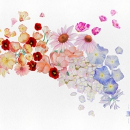 Gretchen Parlato/Flor