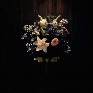 Delicate (Limited Edition)