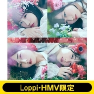 STU48/loppi Hmv ꥸʥ奫2021ǯդåȡեȥ̤ type A(+dvd)